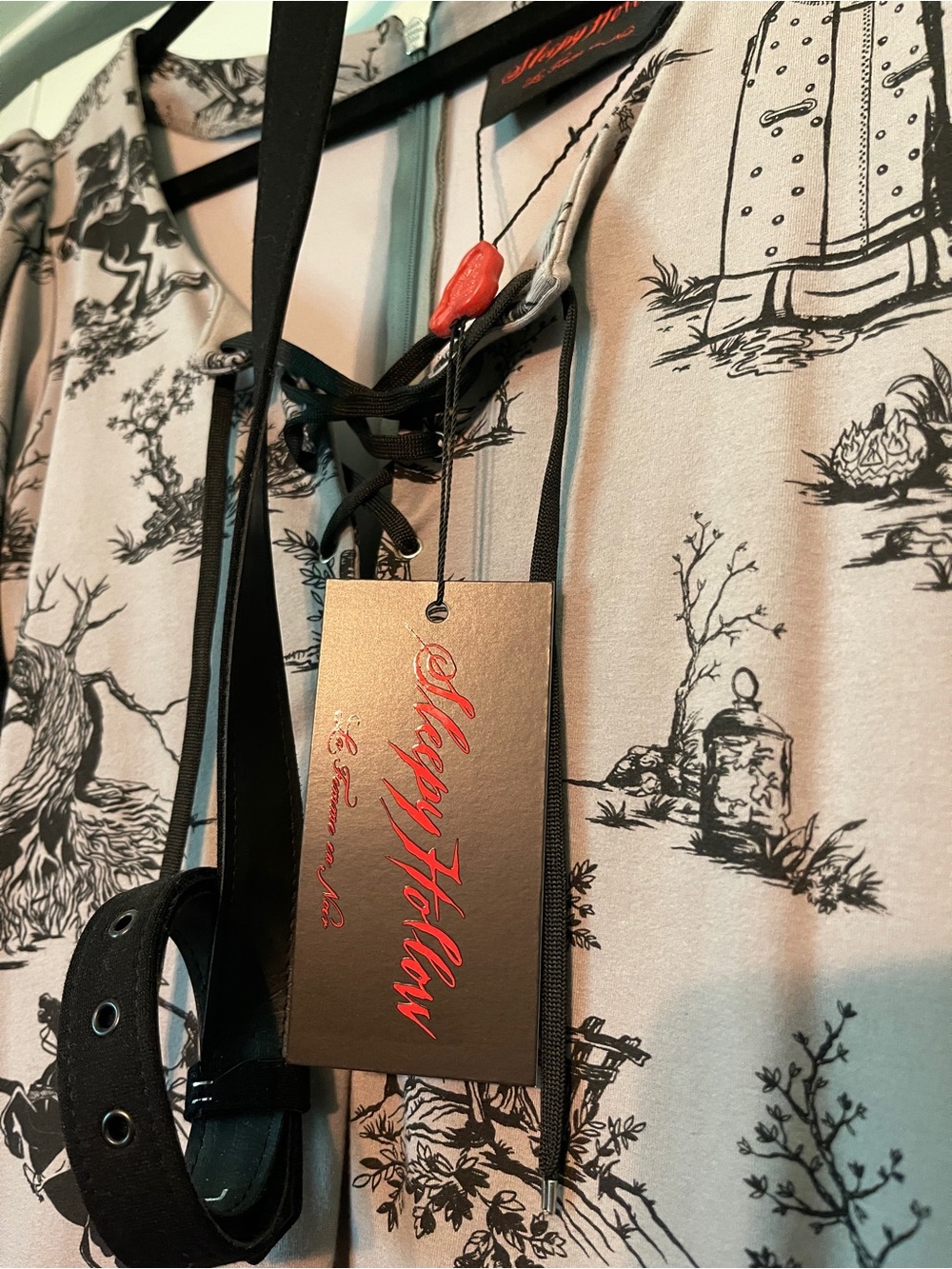 La Femme En Noir x Sleepy hollow Gothic Toile Lace-Up Dress - Picture 4 of 6